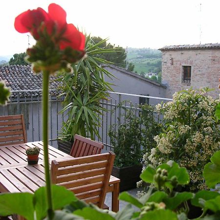 Cappone B&B Morciano di Romagna Zewnętrze zdjęcie