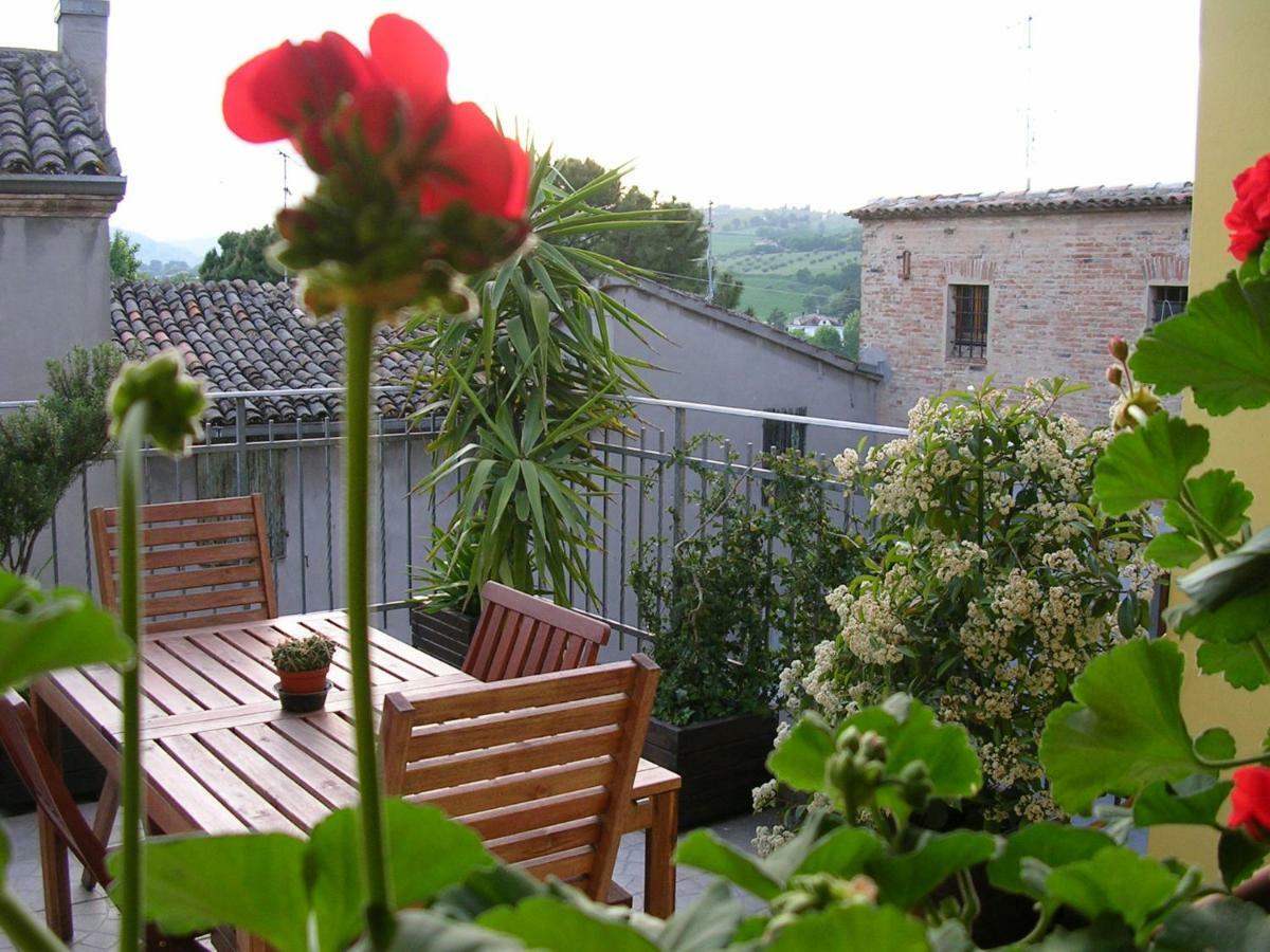 Cappone B&B Morciano di Romagna Zewnętrze zdjęcie